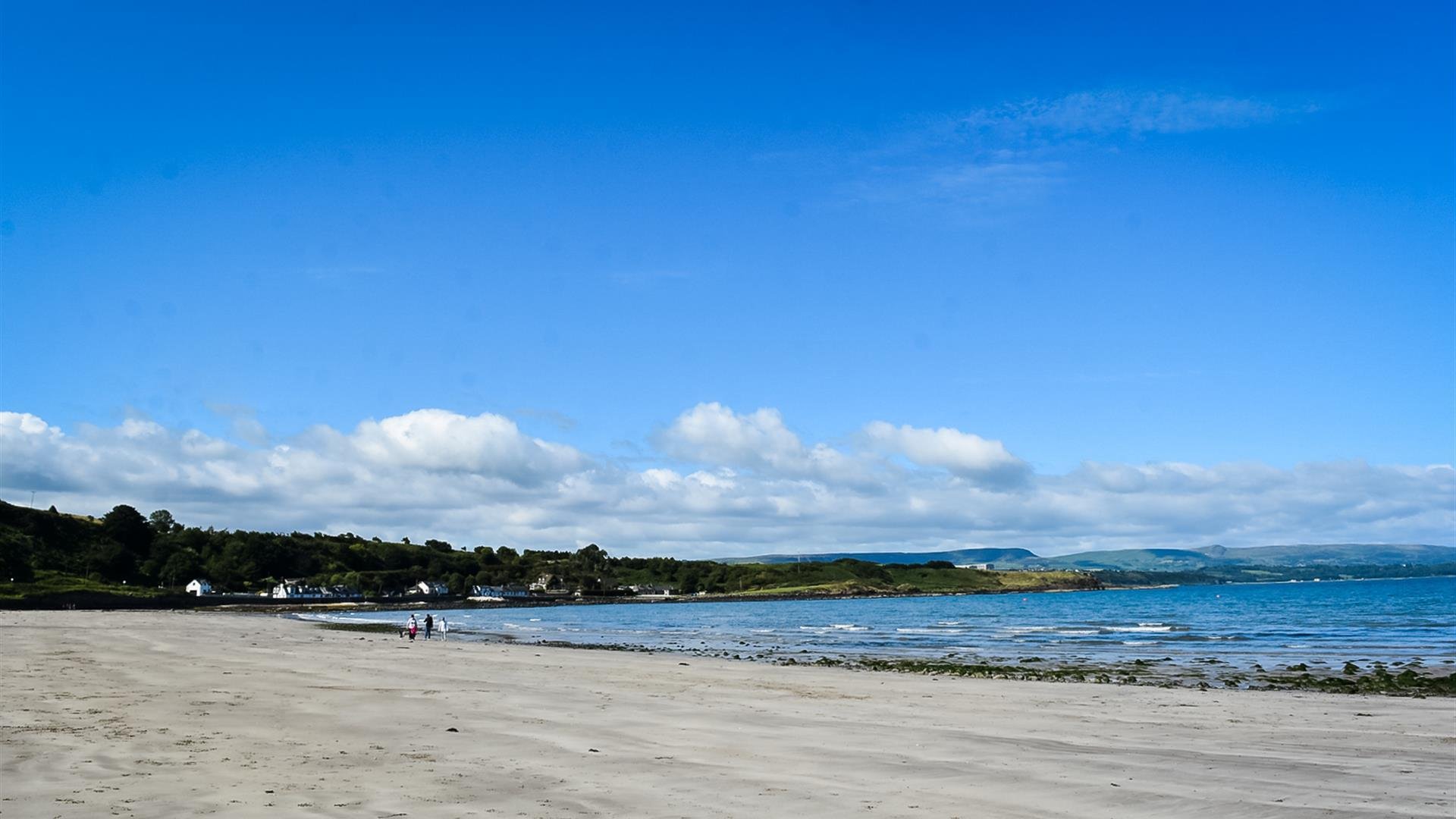 🏖️ 브라운스 베이